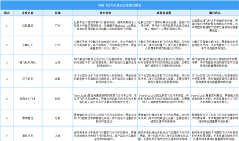 2025年中国飞行汽车重点企业潜力排名