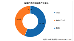 2025年中国存储芯片行业市场前景预测研究报告（简版）