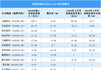 2025中國有機硅上市公司全方位對比分析（企業(yè)分布、經(jīng)營情況、業(yè)務布局等）