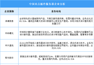 2025年中国液冷服务器企业业务布局对比分析（图）