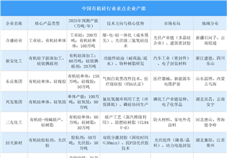 2025年中國有機硅行業(yè)重點企業(yè)產(chǎn)能預測（圖）