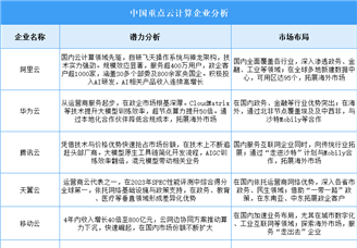 2025年中国云计算企业潜力分析（图）