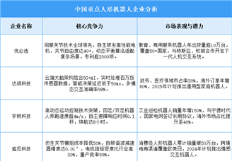 2025年中国人形机器人企业综合竞争力分析（图）