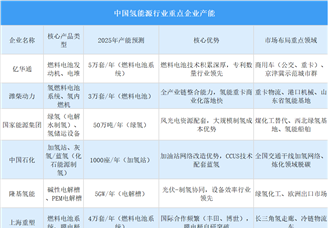 2025年中國氫能源行業(yè)重點(diǎn)企業(yè)產(chǎn)能預(yù)測（圖）