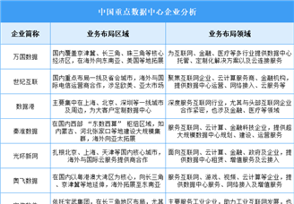 2025年中国数据中心企业业务布局分析（图）