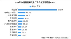 2025年中国新能源汽车行业竞争格局及市场份额解读（图）