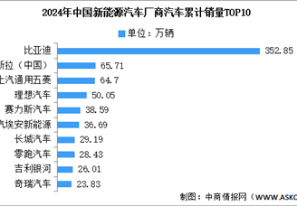 2025年中國新能源汽車行業(yè)競爭格局及市場份額解讀（圖）