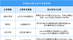 2025年中國算力芯片企業(yè)綜合競爭力分析（圖）