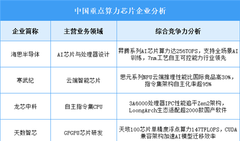 2025年中国算力芯片企业综合竞争力分析（图）