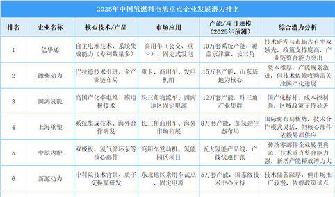 2025年中国氢燃料电池重点企业发展潜力排名（图）