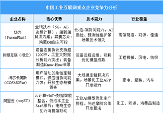 2025年中国工业互联网重点企业竞争力分析（图）