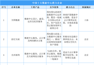 2025年中国十大数据中心潜力企业分析（图）