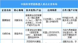 2025年中国具身智能机器人重点企业布局分析（图）