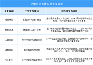 2025年中國光伏發(fā)電企業(yè)綜合競爭力分析（圖）