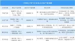 2025年中國(guó)電子特氣行業(yè)重點(diǎn)企業(yè)產(chǎn)能預(yù)測(cè)（圖）