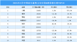 2025年2月中国造车新势力交付量&销量排行榜TOP10（附榜单）