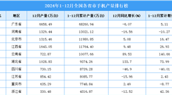 2024年全国各省市手机产量排行榜