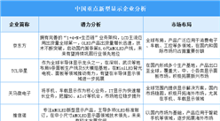 2025年中国新型显示企业潜力分析（图）