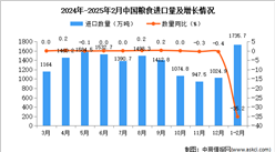 2025年1-2月中国粮食进口数据统计分析：进口量1735.7万吨