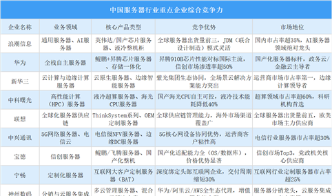 2025年中国服务器行业重点企业综合竞争力分析（图）