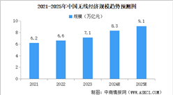 2025年中國無線經(jīng)濟行業(yè)市場前景預(yù)測研究報告（簡版）