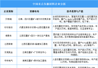 2025年中國負(fù)極材料企業(yè)綜合競爭力預(yù)測分析（圖）