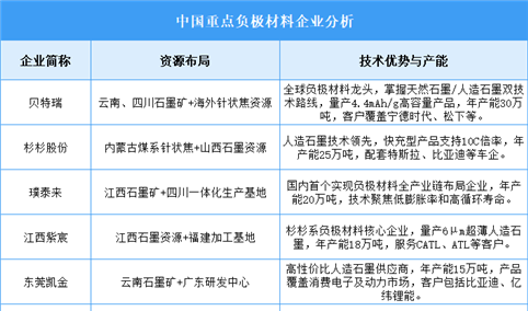 2025年中国负极材料企业综合竞争力预测分析（图）