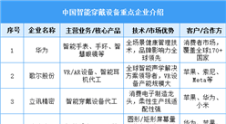 2025年中國智能穿戴設(shè)備重點(diǎn)企業(yè)競爭力分析（圖）