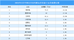 2025年2月中国公共充电桩运营量前十运营商排行榜（附榜单）