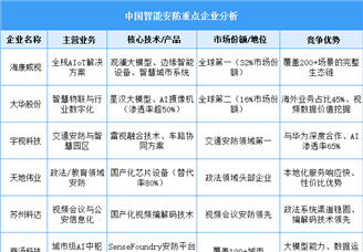 2025年中國(guó)智能安防重點(diǎn)企業(yè)綜合競(jìng)爭(zhēng)力分析（圖）