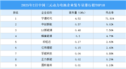 2025年2月中國三元?jiǎng)恿﹄姵仄髽I(yè)裝車量排行榜TOP10（附榜單）