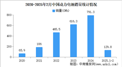 2025年2月中國動(dòng)力電池產(chǎn)銷情況：銷量同比增長98.8%（圖）