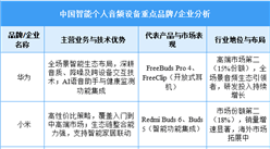 2025年中國(guó)智能個(gè)人音頻設(shè)備重點(diǎn)企業(yè)布局分析（圖）