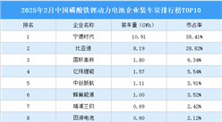 2025年2月中国磷酸铁锂动力电池企业装车量排行榜TOP10（附榜单）