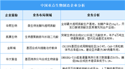 2025年中国生物制造企业业务布局预测分析（图）