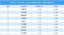 2025年1-2月中国三元动力电池企业装车量排行榜TOP10（附榜单）