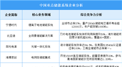 2025年中国储能系统企业综合竞争力预测分析（图）