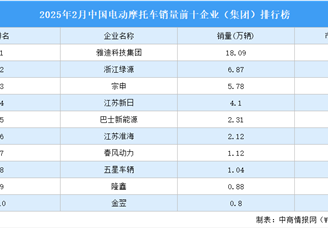 2025年2月中国电动摩托车销量前十企业（集团）排行榜（附榜单）