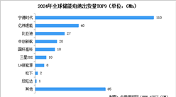 2025年全球儲能電池出貨量預測及重點企業(yè)出貨量占比情況分析（圖）