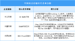 2025年中国存储芯片重点企业业务布局分析（图）