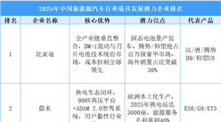 2025年中国新能源汽车行业最具发展潜力企业排名