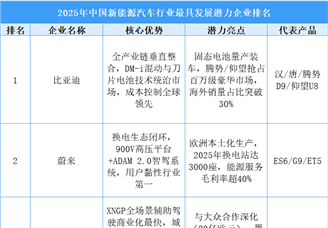 2025年中国新能源汽车行业最具发展潜力企业排名