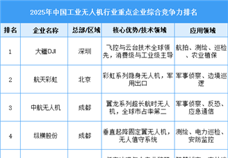 2025年中国工业无人机行业重点企业综合竞争力排名（图）