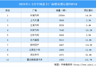 2025年1-2月中国皮卡厂商销量排行榜TOP10（附榜单）