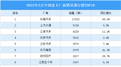 2025年2月中国皮卡厂商销量排行榜TOP10（附榜单）