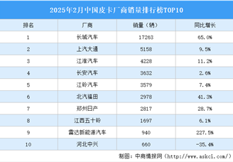 2025年2月中国皮卡厂商销量排行榜TOP10（附榜单）