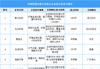 2025年中国智慧环保行业重点企业综合竞争力排名（图）