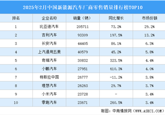 2025年2月中國新能源汽車廠商零售銷量排行榜TOP10（附榜單）