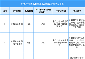 2025年中國(guó)氧化鋁重點(diǎn)企業(yè)綜合競(jìng)爭(zhēng)力排名（圖）