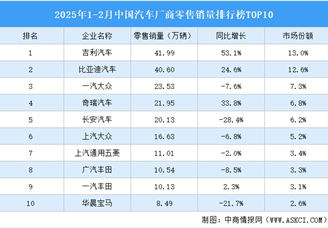 2025年1-2月中國汽車廠商零售銷量排行榜TOP10（附榜單）